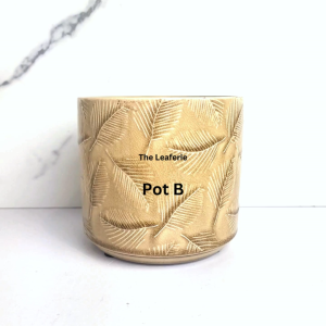 The Leaferie Tavo plant pots. flowerpot . flowerpots . flower pot . planter . planters . Ceramic . Plants