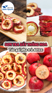 Sơn tra thái lát sấy lạnh 1kg táo gai sấy thăng hoa pha trà detox - Thảo Dược Hạnh Nguyên