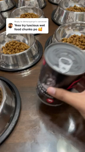 Bare Kitchen 430g Dog Wet Food Can Pure Natural Organic Dog Food Wet Food Chunks Wet Food Paste