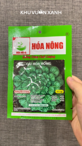Hạt giống rau Cải Hoa Hồng gói 2gr (Trồng quanh năm)