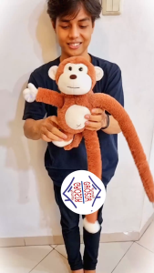 Boneka Monyet Lucu Boneka Plush Monkey Mewah