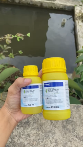 Fastac 15EC 100ml: Obat Pembasmi Hama Kutu Tanaman dari BASF