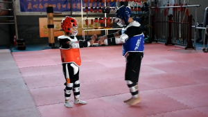 9-IN-1 Taekwondo Karate Practice Competition Equipment For Children/Adult Taekwondo Gear Set