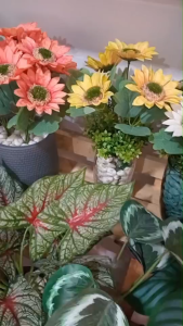 ต้นไม้ปลอม ต้นไม้ประดิษฐ์ ดอกไม้ปลอม ดอกไม้ประดิษฐ์ ยูคาพร้อมกระถางพลาสติกสีดํา ตั้งโต๊ะ 20 ซม.