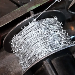 Galvanized Barbed Wire & Hot Dipped Anti-Climb Steel Security Fences