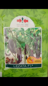 Benih Terong LEZATA 1100 Butir Cap Panah Merah Bisa