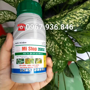 Thuốc đặc trừ bệnh Mi Stop 350SC chai 240mlAzoxystrobin 200g/l+Difenoconazole 150g/lĐẶC TRỪ BỆNH LEM LÉP HẠT ĐẠO ÔN THÁN THƯ PHẤN TRẮNG RỈ SẮT VÀNG LÁ KHÔ VẰN AGRIHG
