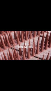 1PCS Plastic Defender Cat Squirrel Theif Animals Repellent Keep Pigeon Crow Fence Rail Roof Security Bird Spikes