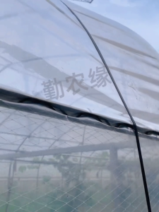 Dây PET căng màng nhà kính Dài 250 Mét Dây có định film PE nhà màng Dễ lắp đặt