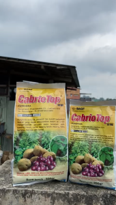 FUNGISIDA CABRIO TOP 60 WG 500 GRAM