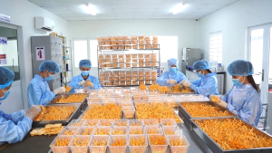 Trà túi lọc Đông Trùng Hạ Thảo Cao Cấp 20 gói Đông trùng hạ thảo sấy khô Nấm Vàng Việt Nam 20 gói bồi bổ sức khỏe TRA01