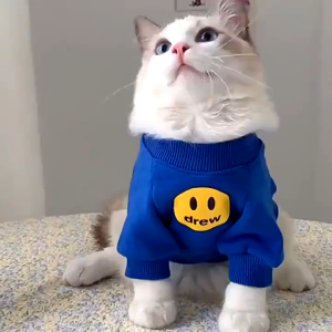 【Limited Quantity】 Whisker Winter Pet Cat Clothes Fashion Brand Autumn and Winter Little Milk Cat Anti Hair Loss Smiling Face Sweater Cat Autumn Clothes