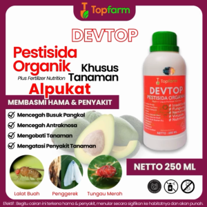 Obat Hama Alpukat / Obat Jamur Pohon Alpukat / Obat Jamur Akar Alpukat / Obat Bercak Daun Pohon Alpukat / Obat Pengendali Ulat Batang Alpukat / Obat Semut Tanaman Alpukat / Obat Anti Rontok Alpukat