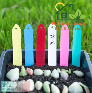 100 thẻ bầu name tag treo và cắm được dùng đánh dấu tên giống cây trồng 1.8*9.5cm ( xem trong mô tả)