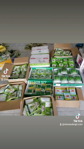 Hạt Giống Mướp Hương Thái lan Cực Thơm 10gr tầm 100 hạt