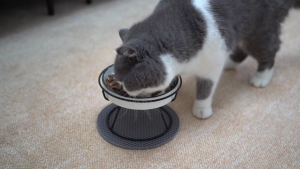 Pet Bowl with Stand Cat Slow Feeder Bowl Ceramic Elevated Pet Bowl Cat Ceramic Plate Protection Spine Anti-Black Chin