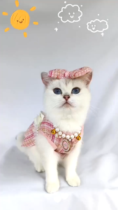 【Trusted】 Whisker Dog Dress for Shih Tzu Sleeveless Stripe Skirt Dog Clothes Wedding Birthday Party Pink Blue Lace Pearl Flower Decor Necklace Suit Tow Ring Cat Clothes for Kitten