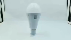 LED Emergency Light Bulb with Removable Battery 2400mAh Rechargeable Lamp 85-265V for Camping Home Tent Porch Garden Lamp