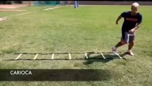 Agility Speed Ladder 4/6/8 Meter / Tangga Tali Nilon / Dengan Bahan Berkualitas Tinggi Lebih Tebal Dan Kuat / Latihan Atlit Tangkas
