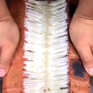 How to Effectively Use Stop Leak Tape & Waterproof Roof Sealant