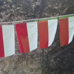 Bendera Merah Putih Plastik + Tali Tinggal Pasang