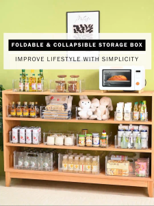 Versatile Storage Solution: Collapsible Transparent Organizer