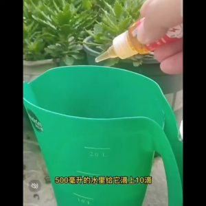 Liquid Fertilizer 50ml 植物活力素 (N7409350)