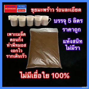 ขุยมะพร้าว บดละเอียด ร่อนแบบไม่มีเยื่อใย 100% แห้งไม่มีเชื้อรา  สำหรับเพาะเมล็ด เพาะกล้าไม้ ตอนกิ่ง บรรจุ 5 ลิตรเต็ม