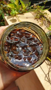 Chanh Đào Ủ Muối Mật Ong Thực Phẩm Dinh Vị Thơm Dịu Ngọt (Chanh Sành)