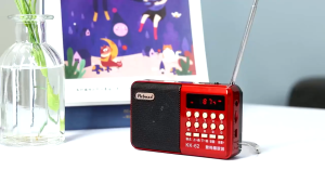 ⚡Miễn Phí Vận Chuyển⚡ ĐÀI RADIO FM NGHE NHẠC QUA USB VÀ THẺ NHỚ-Đài Phát Thanh Kỹ Thuật Số Loa Di Động Mini FM Radio USB
