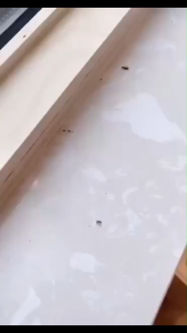 {2pcs} Household mosquito-proof window screen simple self-adhesive gauze self-installed Velcro removable自粘纱窗