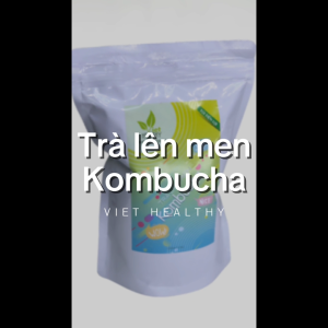 Trà Lên Men Kombucha Túi Tiện Lợi - Viethealthy 1000ml