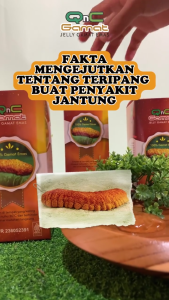 Qnc Jelly Gamat Emas Teripang Pilihan Kualitas Premium Dijamin 100% ORIGINAL 300 ML Bisa COD