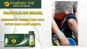 Obat Luka Diabetes Luka Borok Pengering Luka Diabetes Obat Tetes Luka Bernanah - Propolis sm 100% Asli