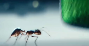 Heineken 0.0 Non-Alcoholic Malt Drink 330 ml. Pack 6.ไฮเนเก้น 0.0 เครื่องดื่มมอลต์ไม่มีแอลกอฮอล์ 330 มล. แพ็ค 6