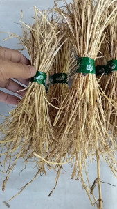 500gram Akar Alang Alang Kering alami Bersih Higienis