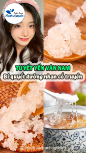 Tuyết yến Vân Nam 500g chè tuyết yến dưỡng nhan đẹp da chống lão hóa tăng sinh collagen
