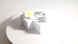 Perfect Life 36 pcs/set Blue Card Black Bob Pin Side Clip Steel Wire Hairpin Wave Hairpin Hair Accessories