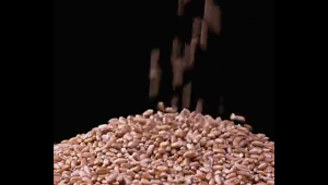 ซีอิ๋วนึ่งปลาลายสก๊อต ขนาดเล็ก 410 ml厨邦酱油 ผัดปรุงรส รสชาติที่สดใหม่และเข้มข้น