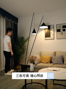 Đèn Sàn Câu Cá Cao Cấp Đèn Led Bắc Âu (3 chế độ màu) Decor Phòng Ngủ Phòng Khách