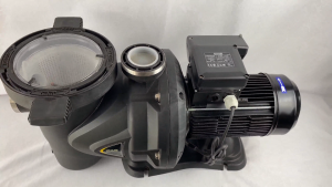 DAB EUROSWIM 300 M / 3 HP - Pompa Air Kolam Renang