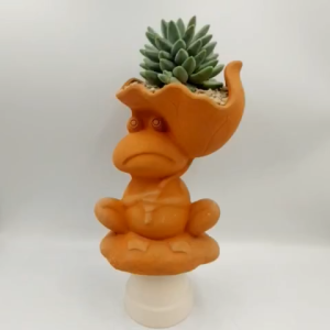 Chậu đất nung chậu sen đá - Chú ếch miệng chậu 11cm chiều cao 21cm