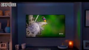 TV Smart Android 50 inch 4K UHD Dolby Audio Youtube Mirroring Boundless Browser WIFI HD HDMI/USB/AV