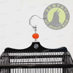 SEMPATI Gantungan Lipat BNR Plus Pion Bening Lampion Warna Gantungan Sangkar Kandang Burung Kacer Kenari Cucak Ciblek Cantolan Sangkar Kotak