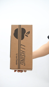 Dép Lihsing quai ngang nữ (35-39)