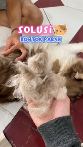 Serum vitamin bulu kucing agar lebat panjang dan tidak rontok serum perawatan bulu kitten 60ml