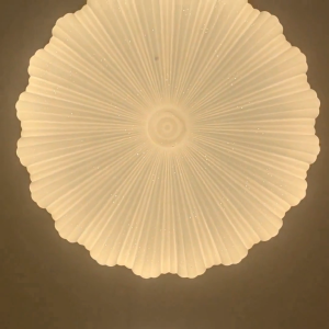 50cm96w modern minimalist petal shell creative LED ceiling light room balcony restaurant stepless remote control light
