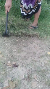 Cangkul Garuk Mini 2in1 40 Cm Dua Fungsi mata Garuk