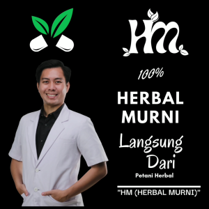 HERBAL MURNI - DAUN PEGAGAN/ANTANAN: Isi 50 & 100 Kapsul Alami 100% Asli