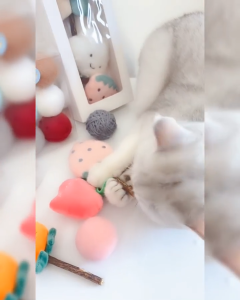 💯PG🥊 Cat Toy Chewing Lollipop Treats Teething Chew Catnip Polygonum Wood Kitten Interactive Pet Gift Teeth Plush Playing Exercise Toys